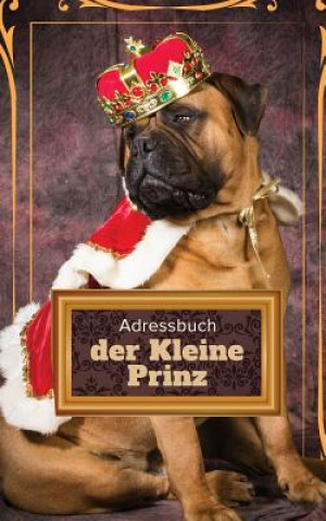 Book Adressbuch der Kleine Prinz Journals R Us