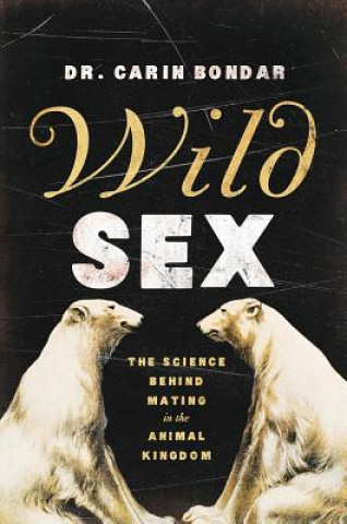 Kniha Wild Sex Carin Bondar