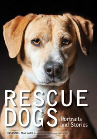 Kniha Rescue Dogs Susannah Maynard