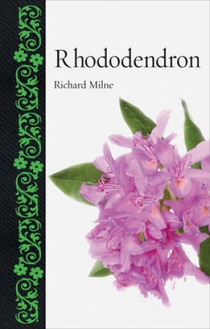 Könyv Rhododendron Richard Milne
