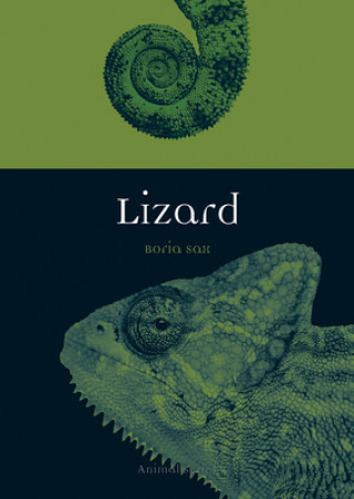 Kniha Lizard Boria Sax
