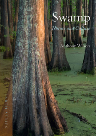 Książka Swamp Anthony Wilson
