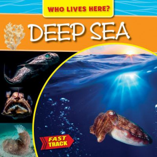 Buch DEEP SEA Mary-Jane Wilkins