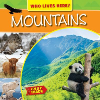 Knjiga MOUNTAINS Mary-Jane Wilkins