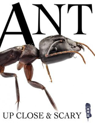 Buch ANT Kevin Ingam