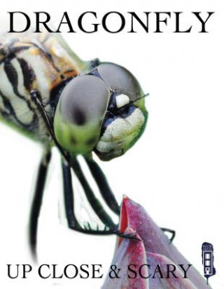 Livre DRAGONFLY Kevin Ingam