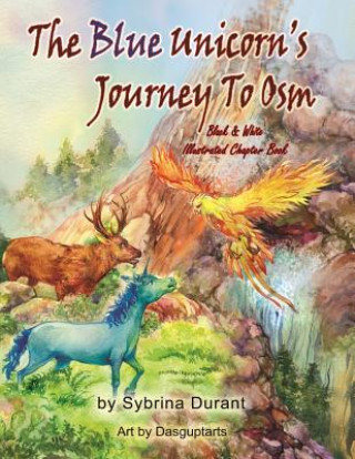 Kniha Blue Unicorn's Journey To Osm Black and White Sybrina Durant