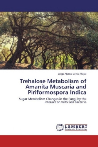 Könyv Trehalose Metabolism of Amanita Muscaria and Piriformospora Indica Jorge Alonso Leyva Rojas