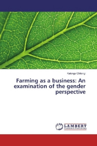 Kniha Farming as a business: An examination of the gender perspective Kalongo Chitengi