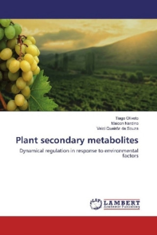 Könyv Plant secondary metabolites Tiago Olivoto