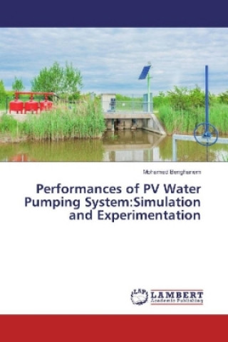 Könyv Performances of PV Water Pumping System:Simulation and Experimentation Mohamed Benghanem