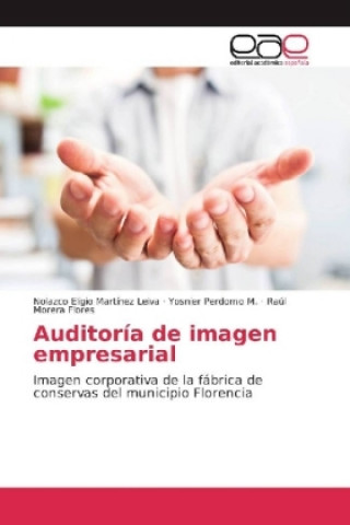 Livre Auditoría de imagen empresarial Nolazco Eligio Martínez Leiva