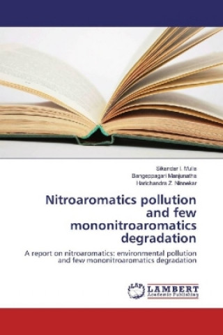Könyv Nitroaromatics pollution and few mononitroaromatics degradation Sikandar I. Mulla