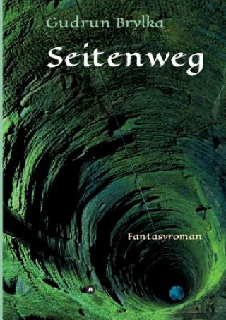 Buch Seitenweg Gudrun Brylka