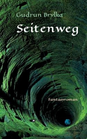 Boek Seitenweg Gudrun Brylka