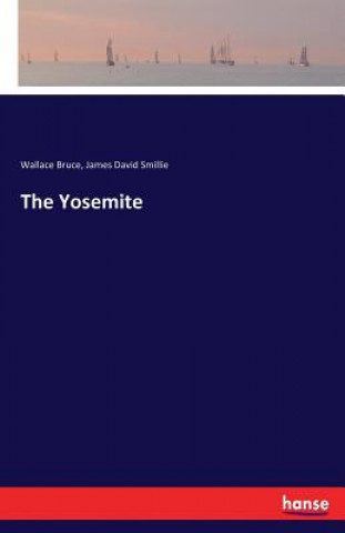 Kniha Yosemite Wallace Bruce