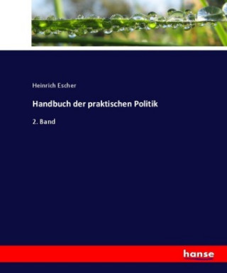 Knjiga Handbuch der praktischen Politik Heinrich Escher