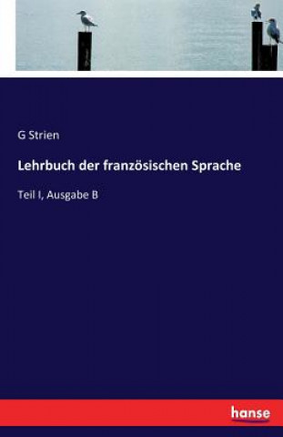 Livre Lehrbuch der franzoesischen Sprache G Strien