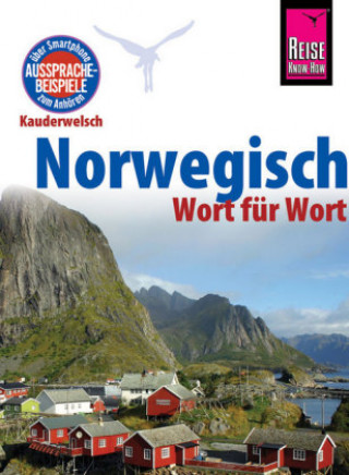 Kniha Norwegisch - Wort für Wort O'Niel V. Som