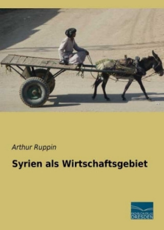 Buch Syrien als Wirtschaftsgebiet Arthur Ruppin