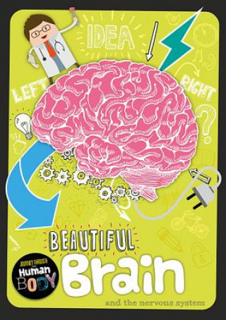 Kniha Beautiful Brain Charlie Ogden