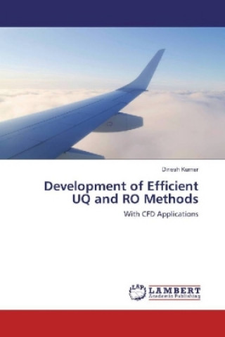 Книга Development of Efficient UQ and RO Methods Dinesh Kumar