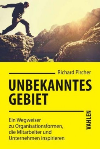 Książka Agilstabile Organisationen Richard Pircher