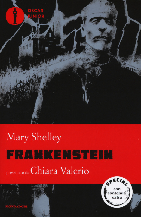 Boek Frankenstein Simona Fefè