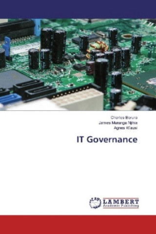 Książka IT Governance Charles Borura