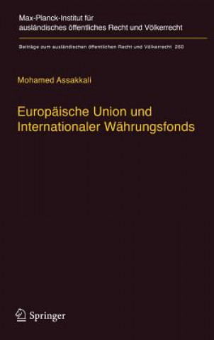 Book Europaische Union und Internationaler Wahrungsfonds Mohamed Assakkali