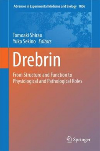 Könyv Drebrin: From Structure and Function to Physiological and Pathological Roles Tomoaki Shirao