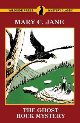 Carte The Ghost Rock Mystery Mary C. Jane