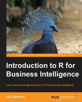 Kniha Introduction to R for Business Intelligence Jay Gendron