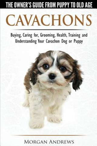 Könyv Cavachons - The Owner's Guide from Puppy to Old Age - Choosing, Caring for, Grooming, Health, Training and Understanding Your Cavachon Dog or Puppy Morgan Andrews