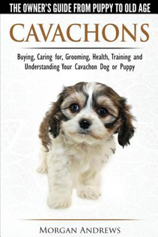 Książka Cavachons - The Owner's Guide from Puppy to Old Age - Choosing, Caring for, Grooming, Health, Training and Understanding Your Cavachon Dog or Puppy Morgan Andrews