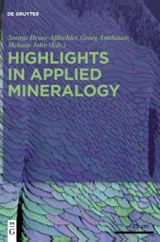 Carte Highlights in Applied Mineralogy Soraya Heuss-Aßbichler