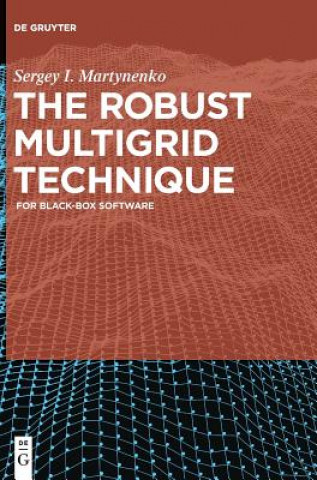 Buch Robust Multigrid Technique Sergey I. Martynenko