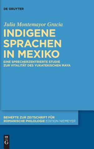 Book Indigene Sprachen in Mexiko Julia Montemayor Gracia