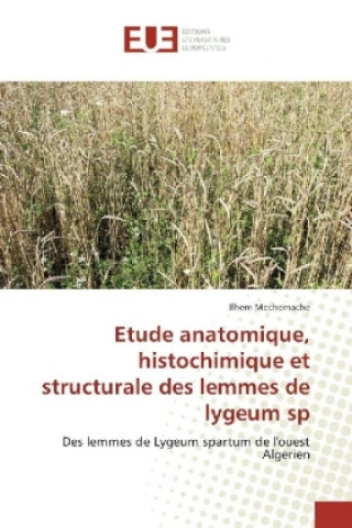 Book Etude anatomique, histochimique et structurale des lemmes de lygeum sp Ilhem Mechemache