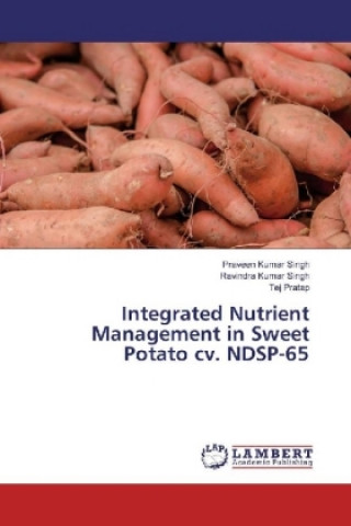 Kniha Integrated Nutrient Management in Sweet Potato cv. NDSP-65 Praveen Kumar Singh
