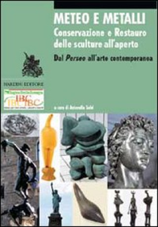 Kniha Meteo e metalli. Conservazione e restauro delle sculture all'aperto. Dal Perseo all'arte contemporanea A. Salvi