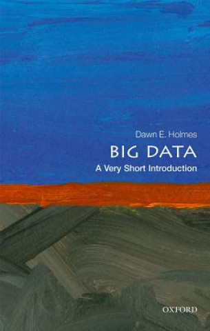Kniha Big Data: A Very Short Introduction Dawn E. Holmes