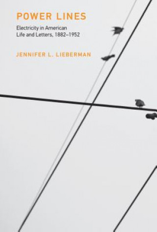 Libro Power Lines Jennifer L. Lieberman