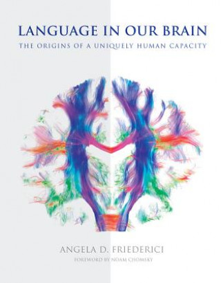 Kniha Language in Our Brain Angela D. Friederici