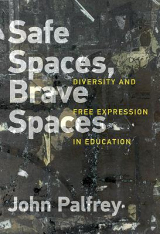 Könyv Safe Spaces, Brave Spaces John Palfrey