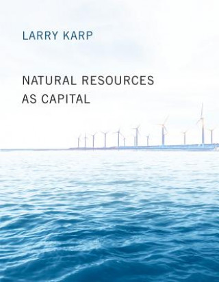 Książka Natural Resources as Capital Larry Karp