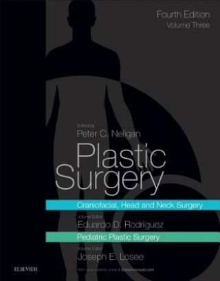 Kniha Plastic Surgery Rodriguez