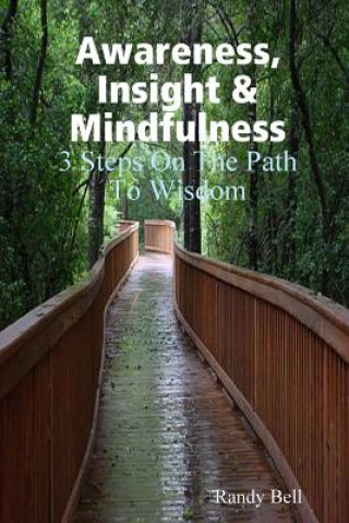 Kniha Awareness, Insight & Mindfulness RANDY BELL