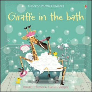 Kniha Giraffe in the Bath Russell Punter