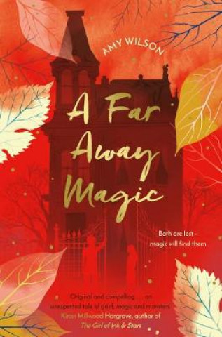 Book Far Away Magic WILSON  AMY